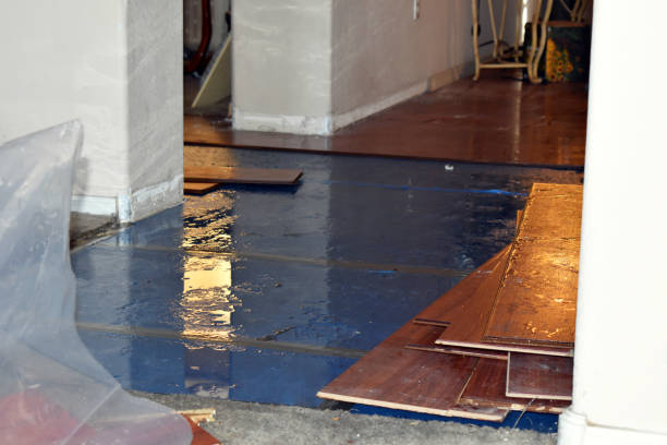Professional Water Extraction technician working in Linwood, MA